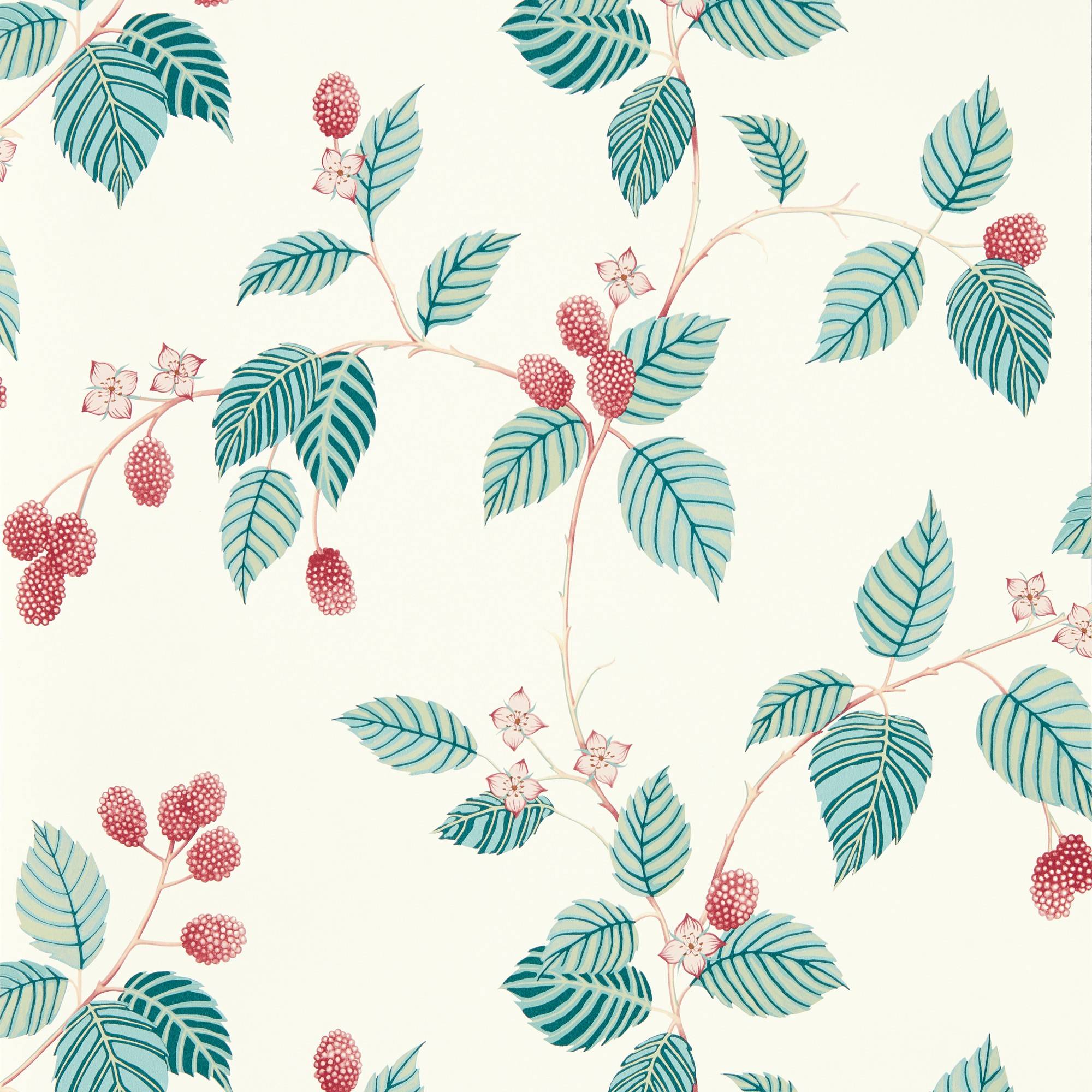 Sanderson Rubus Raspberry DABW217228