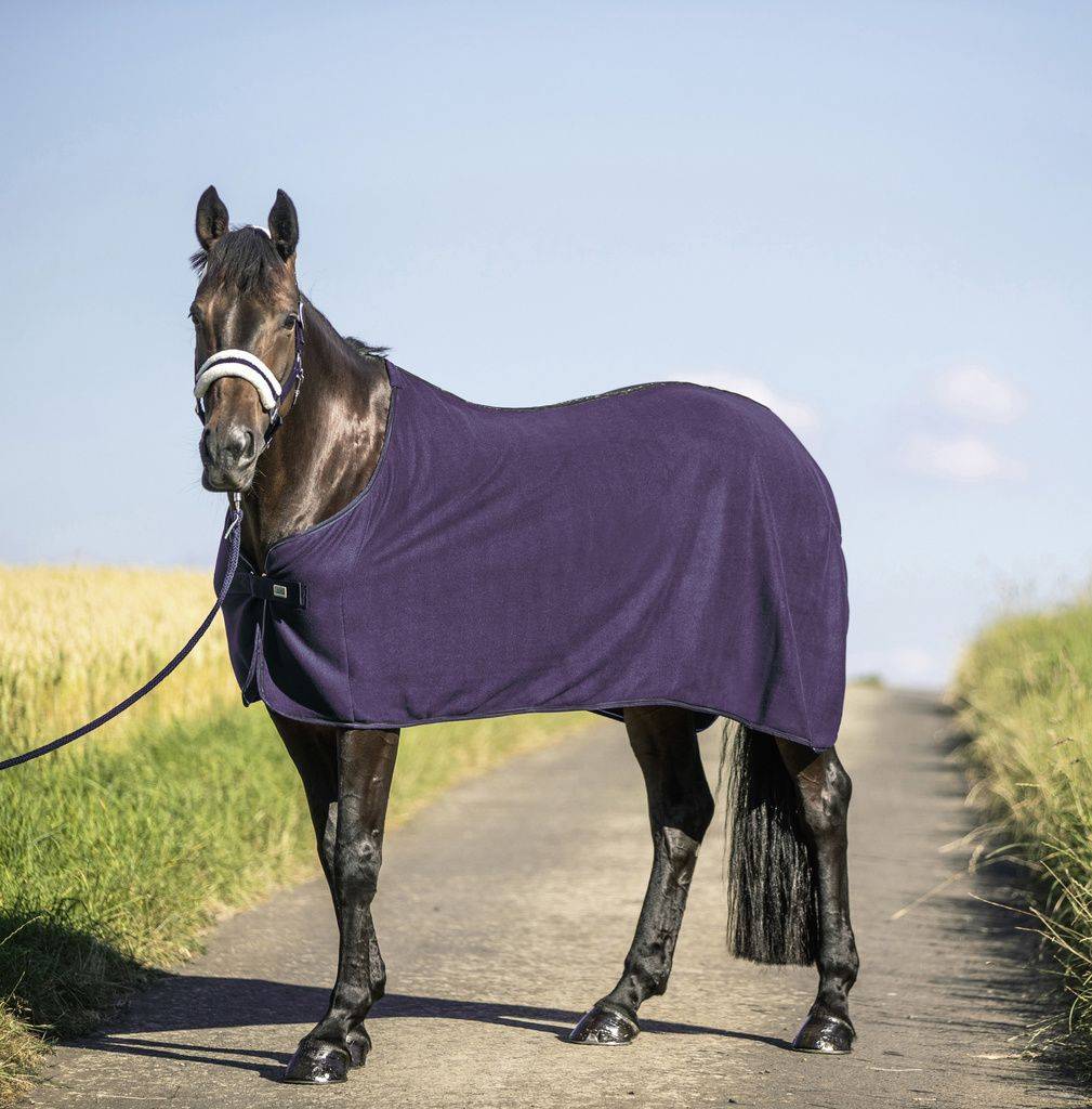Usg Fleece Rug - DB/AB