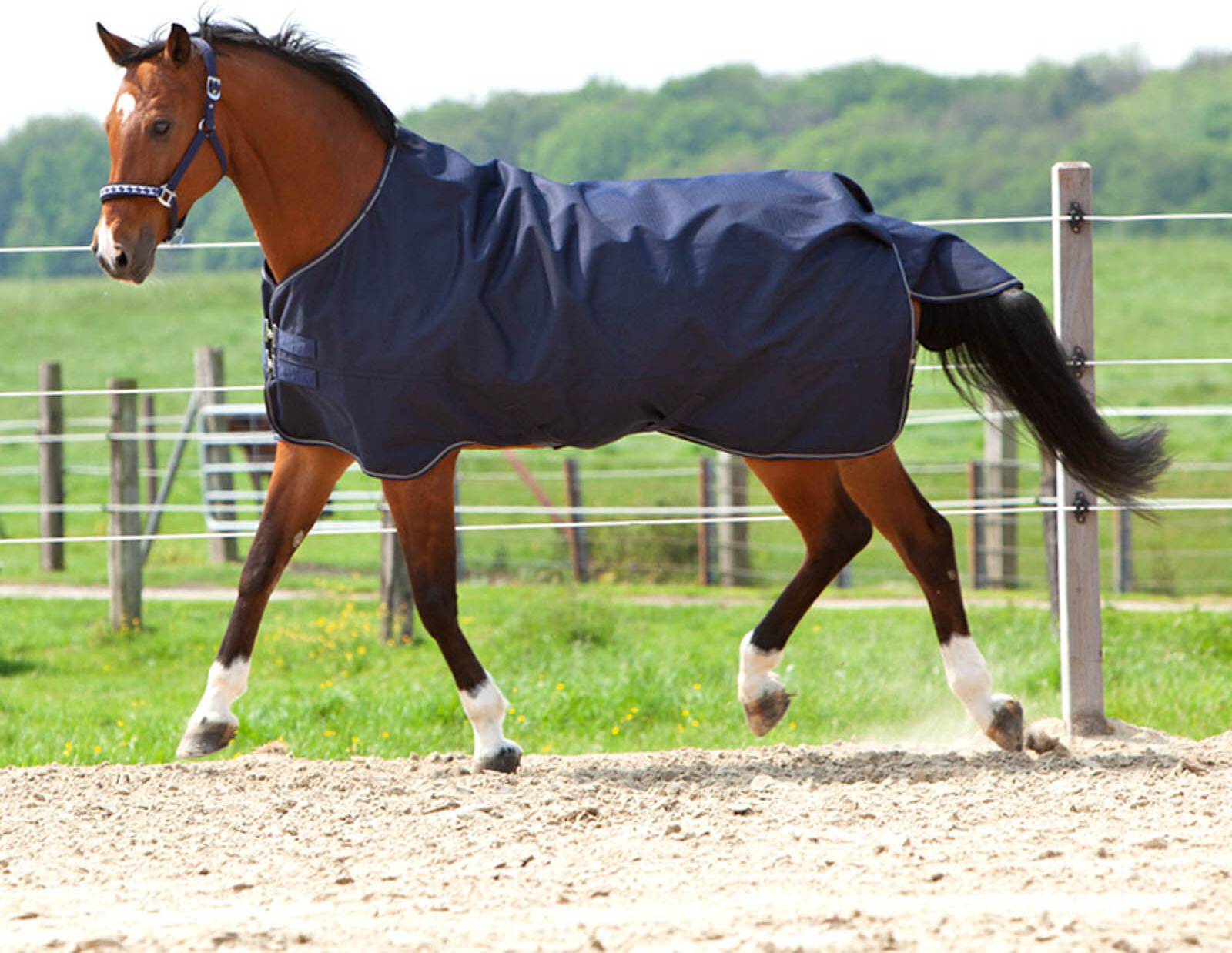 Montreal Heavyweight Turnout Rug
