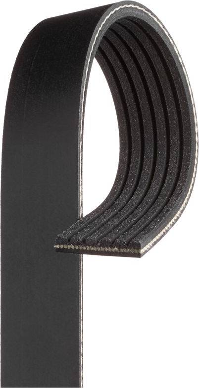 Gates Multi-Ribbed Belt