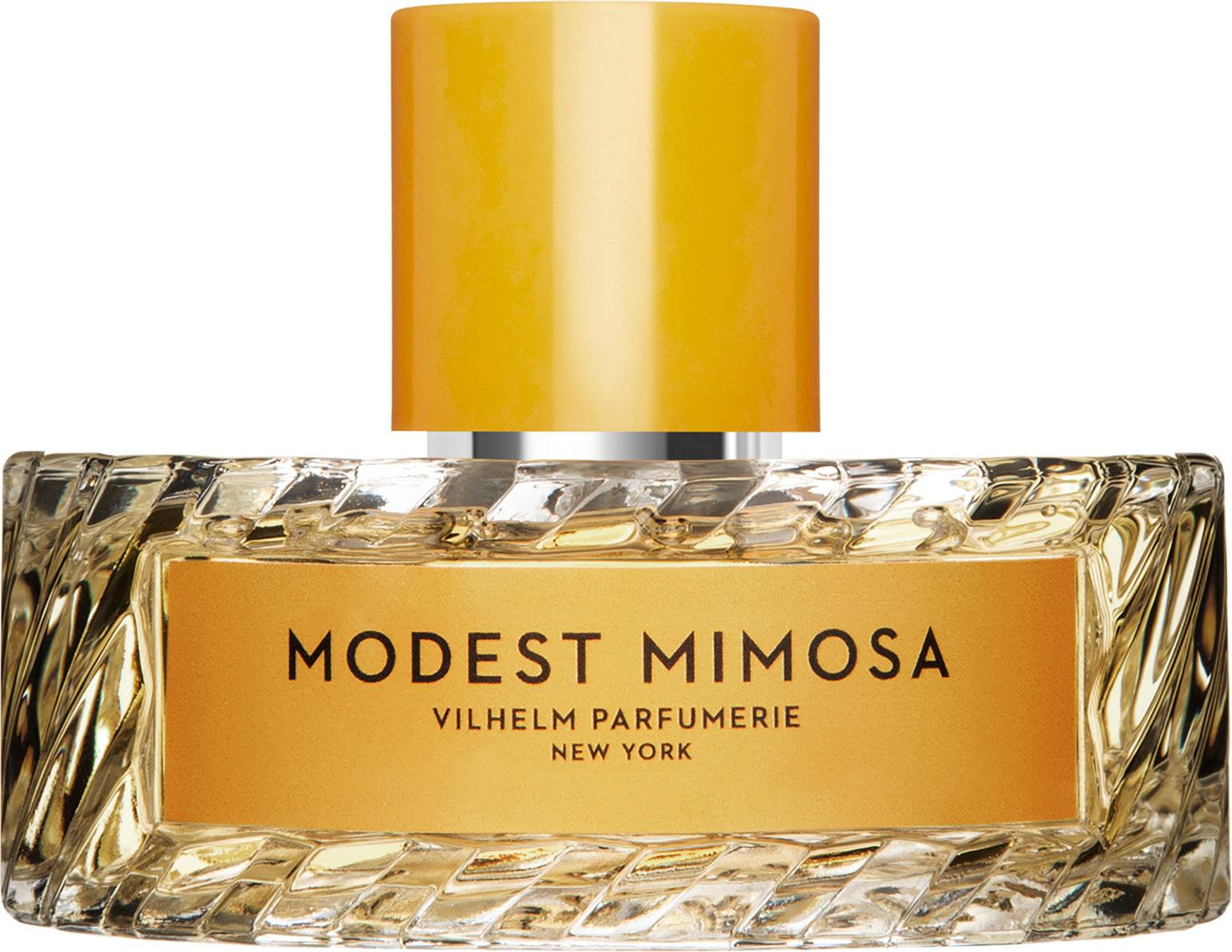 Modest Mimosa