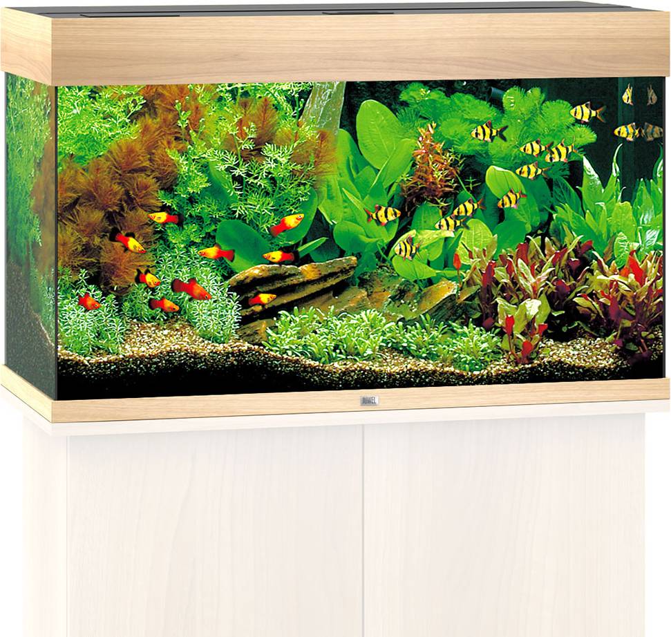 Juwel rio Juwel Rio 125