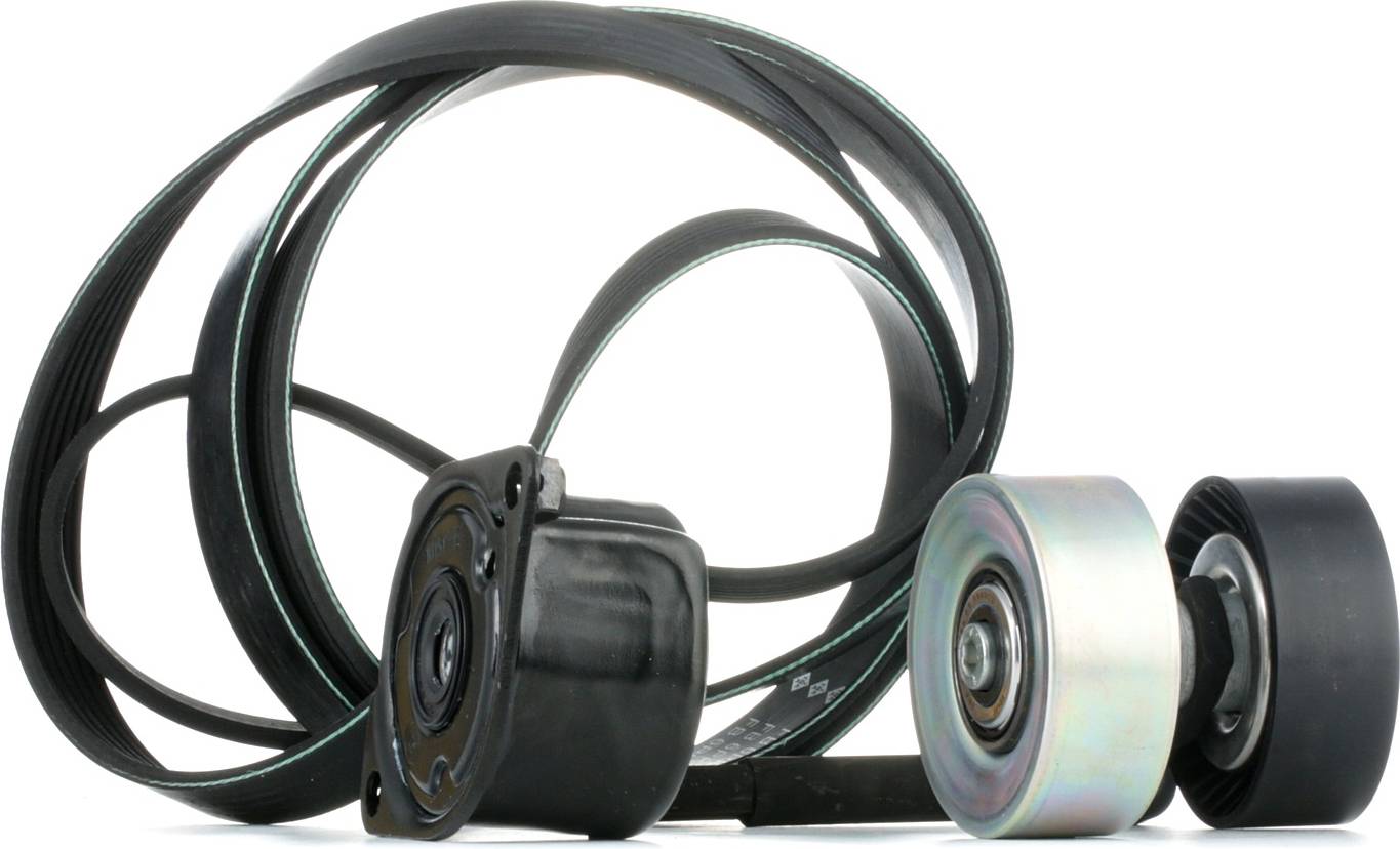 INA V-Ribbed Belt Set 529031410