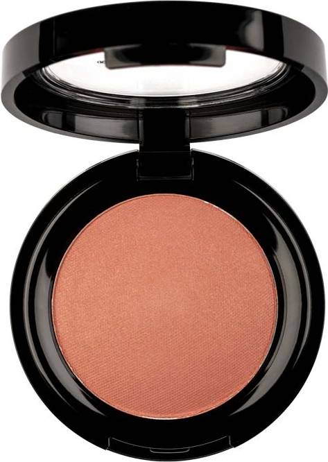 Pierre Rene Rouge Powder 07 Rusty Cheek