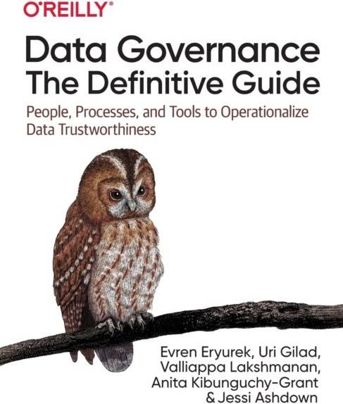 Data Governance: The Definitive Guide
