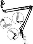 RJMS050 Microphone Support
