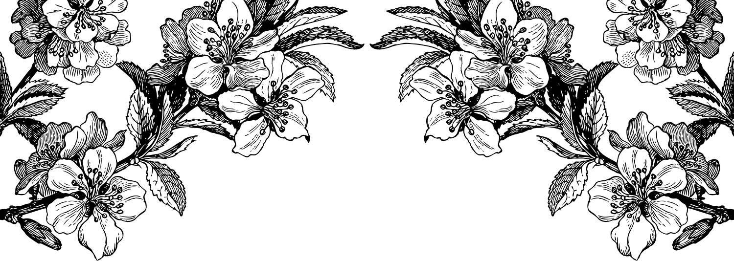 Springtime Black & White