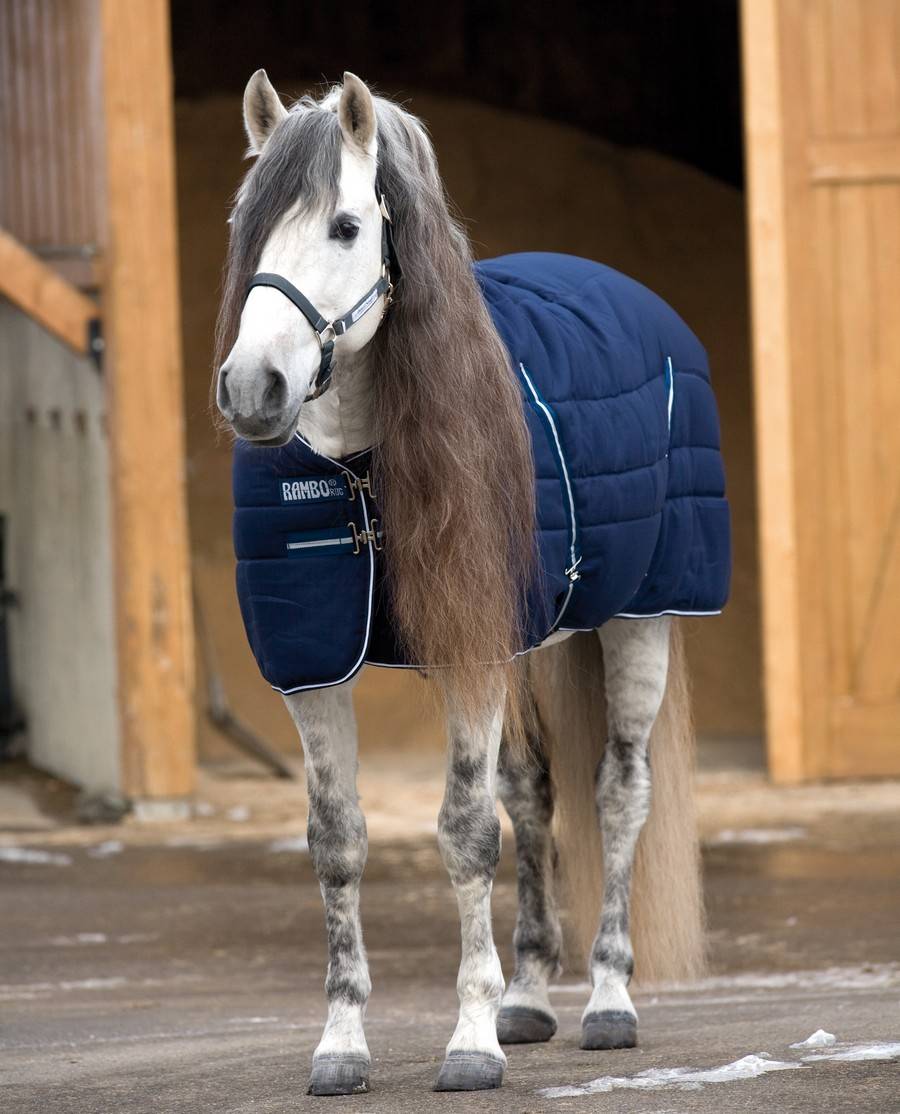 Horseware Rambo Stable Rug - Dark Blue/White