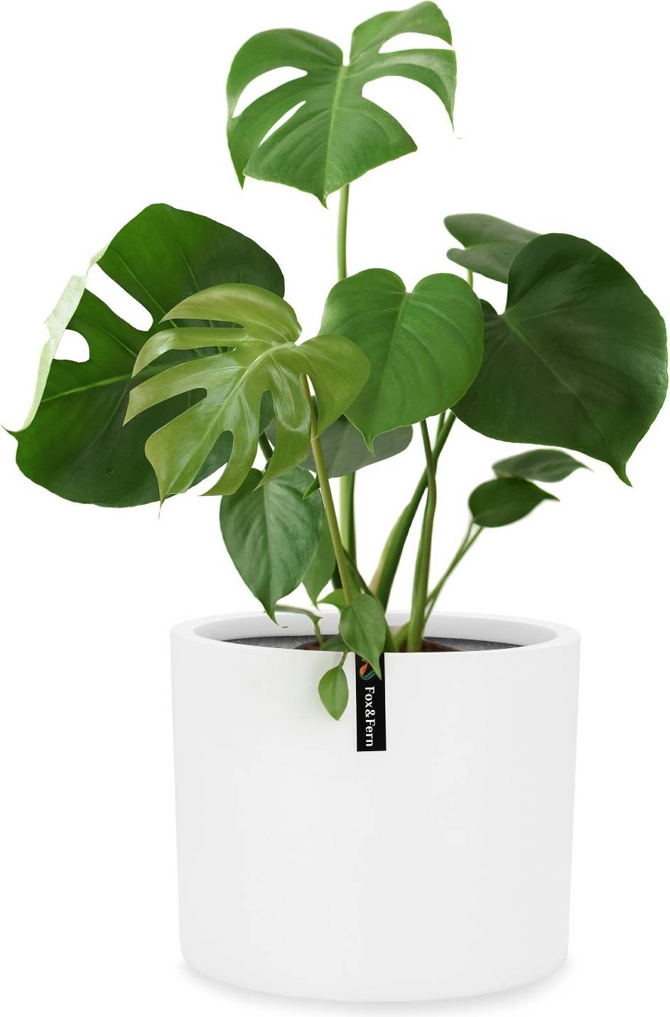 Planter Cachepot Fibre Stone In/Outdoor