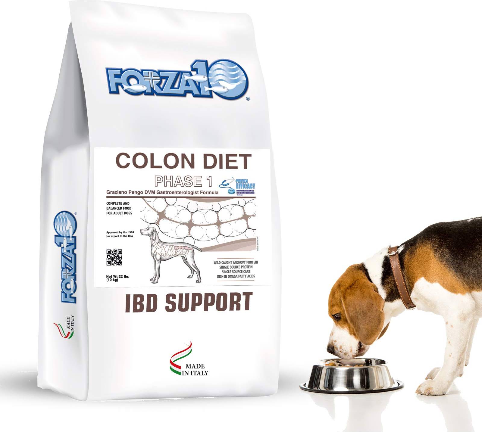 Active Line Intestinal Colon Fase 1