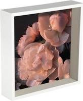 Nicola Spring 10x10" 3D Deep Box Photo Frame