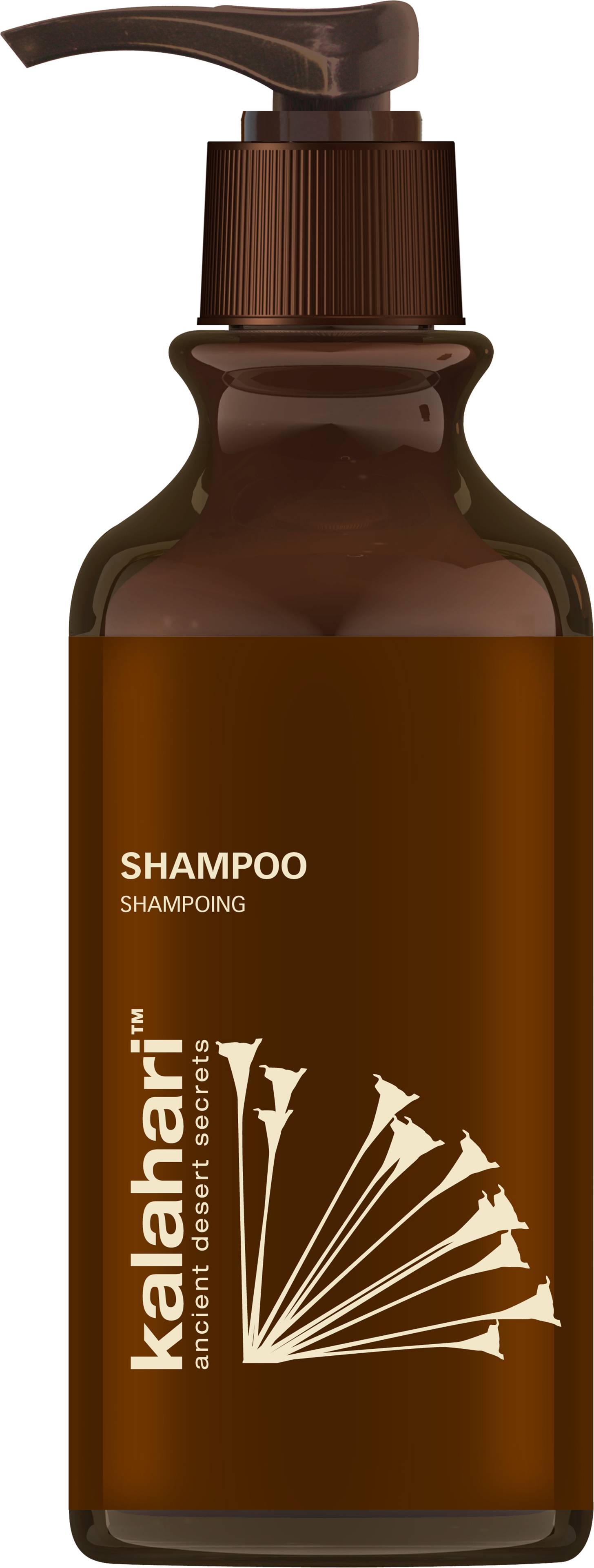 Shampoo