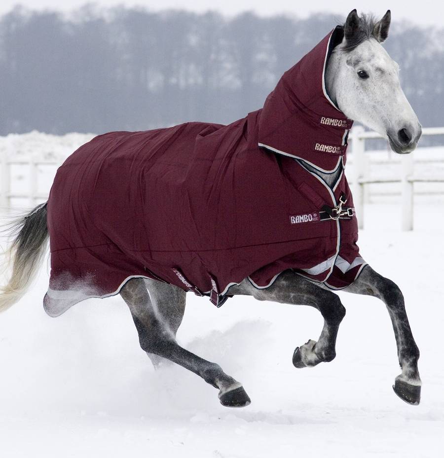 Horseware Rambo All In One Heavy/ 400G fra