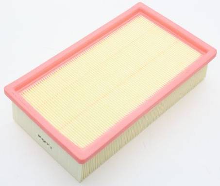 Automega Air Filter Insert
