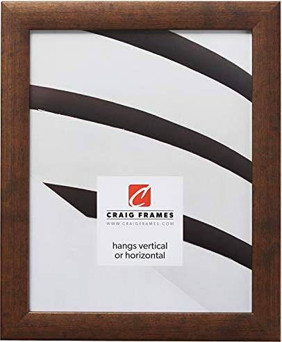 Craig Contemporary Picture 16 x 20 Inch Rustic Copper Photo Frame