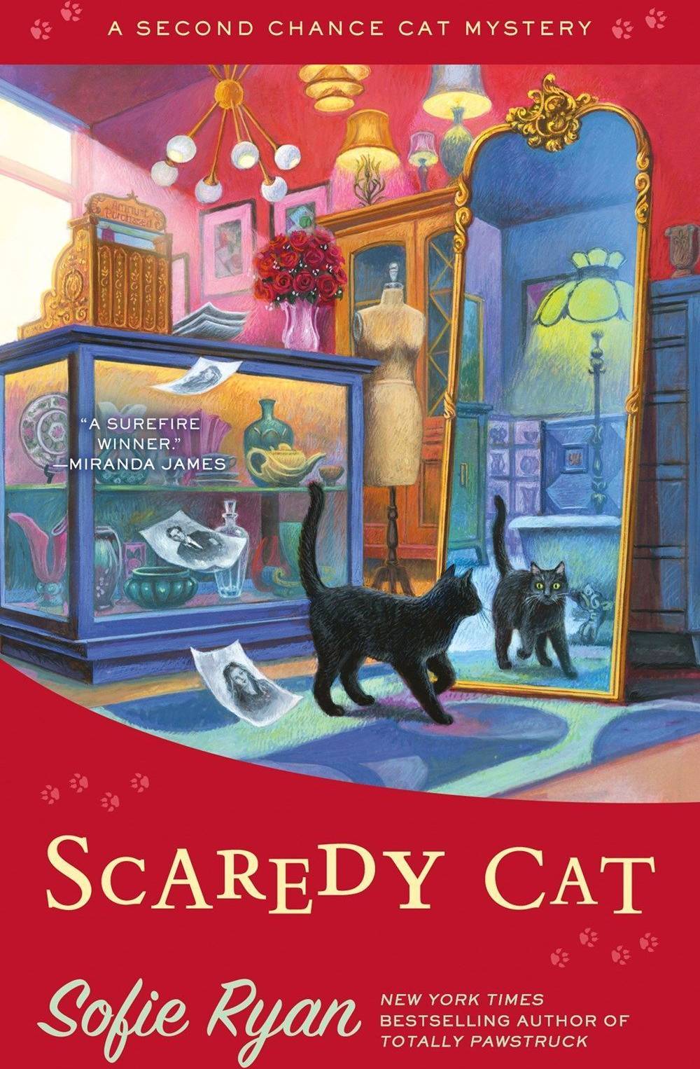 Scaredy Cat