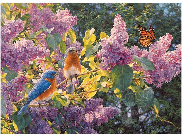 Spring Interlude 500 Pieces