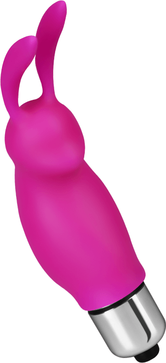 Rabbit Roger Rosa