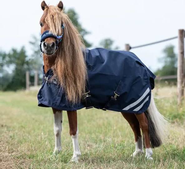 Turnout Rug Mini 600D - Deep Blue