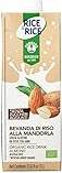 RICE&RICE Bevanda di Riso alle Mandorle 1 L