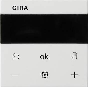 Gira RTR Display 539303