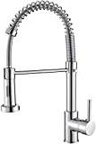 Cobbe Kitchen Sink Kitchen Sprayer, 2