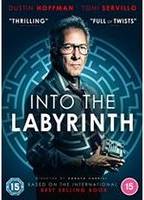 Into The Labyrinth