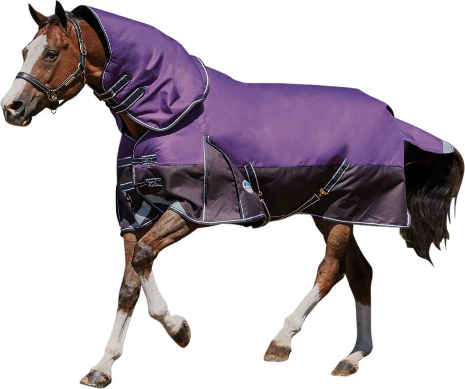 Weatherbeeta Comfitec Lite Plus Dynamic Detach-A-Neck Turnout Rug