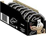 Hundefutter Nassfutter Junior