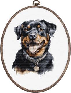Rottweiler Luca-S Broderikit Billede Rottweiler