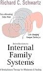Introduction to Internal Family Systems