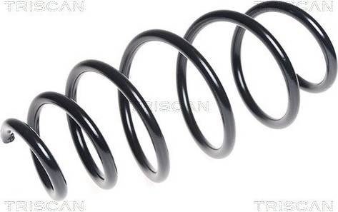 Coil Spring 20132