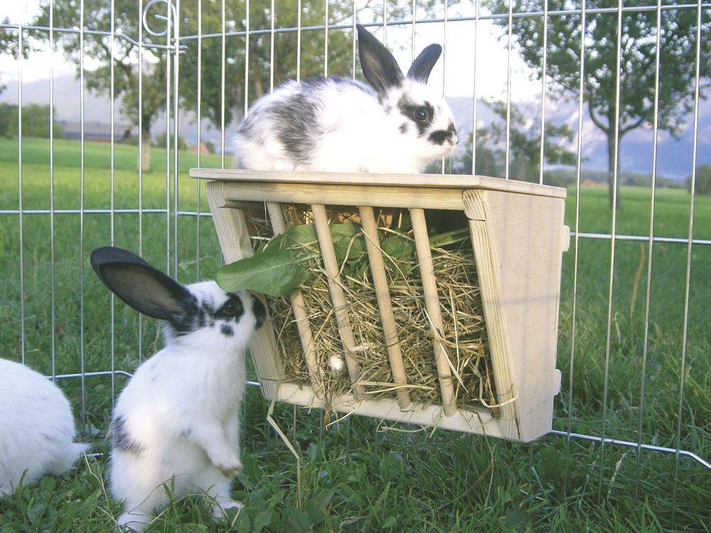 Kerbl Hay Rack For Rodents Beige