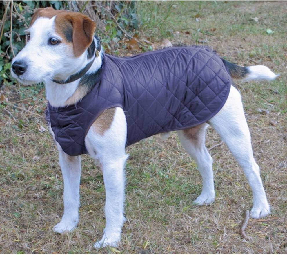 Cosipet Showerproof Step-In-Suit For Dogs Navy 24In