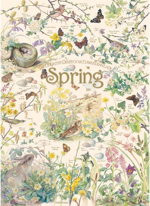 Country Diary Spring