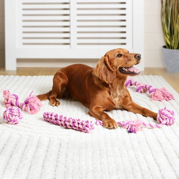 Clever Paws Rope Retriever Bar
