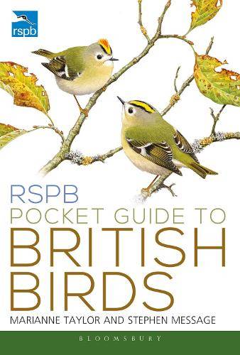 RSPB Pocket Guide to British Birds: RSPB (Paperback)