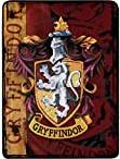 Harry Potter Micro Raschel