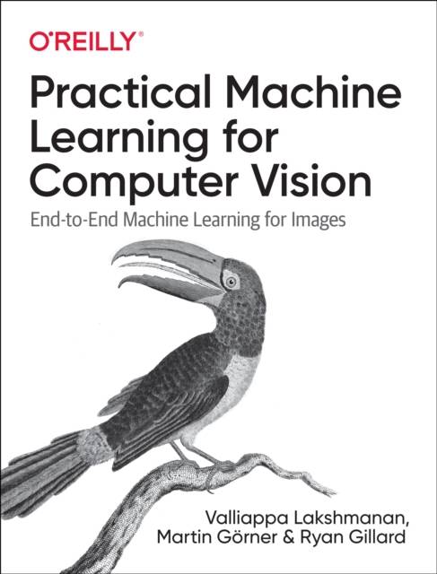 Practical Machine Learning for Computer Vision: End-To-End Machine Learning for Images Pocketbok (Häftad, 2019)