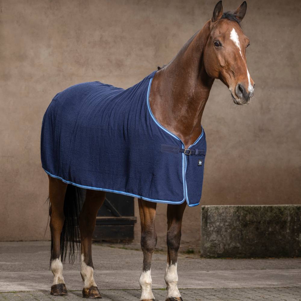 EquiThème Rug Riding World Éponge - Bleu