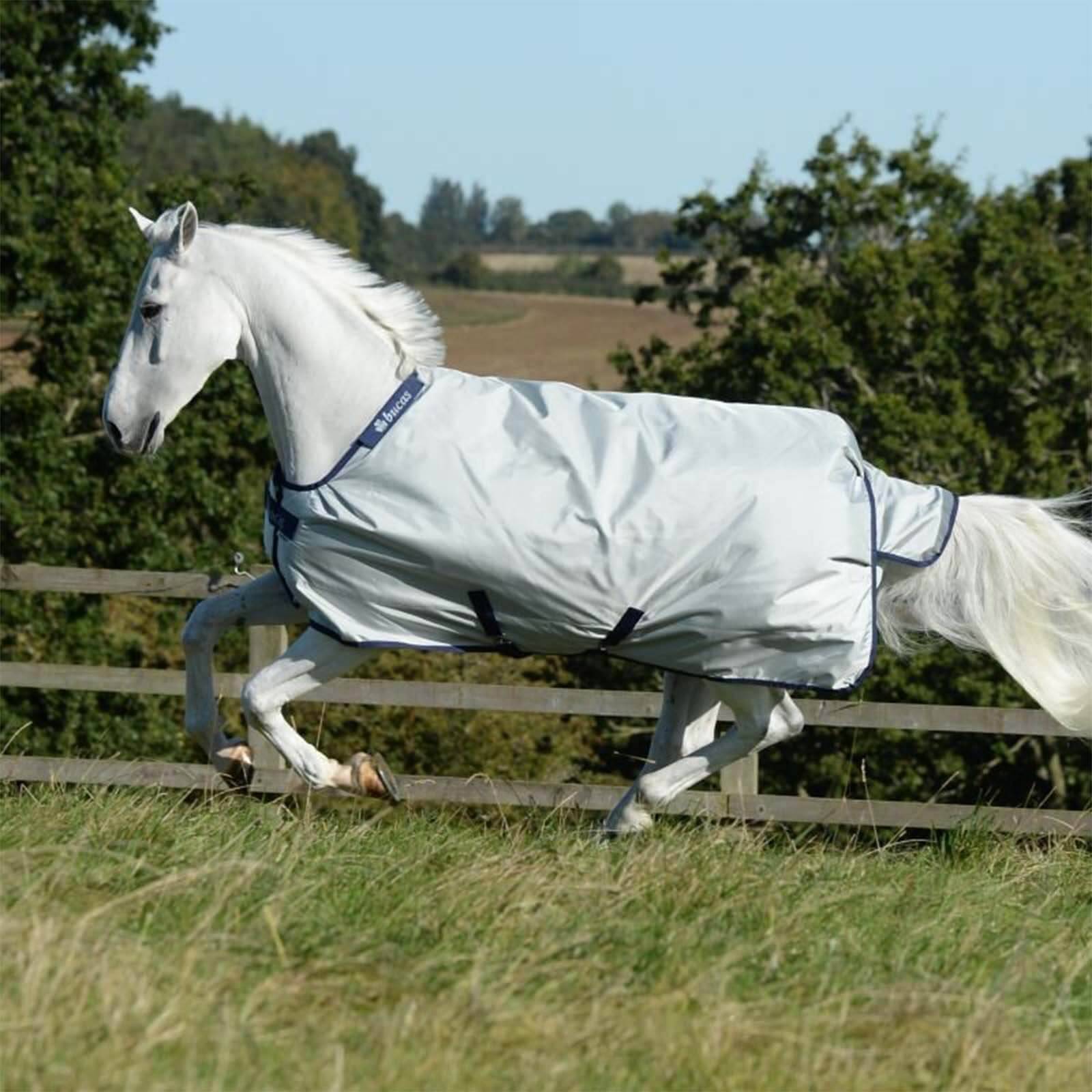 Power 150g Standard Neck Turnout Rug - Silver