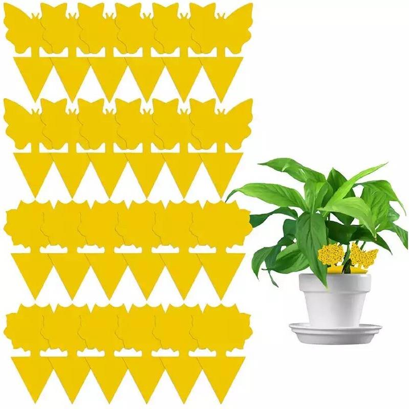 12PCS Double-sided Sticky Trap Insect
