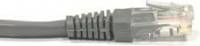 Netrack Netrack Patchkabel RJ-45 han