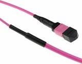 ACT Multimode 25 Meter Fiber Trunk Cable