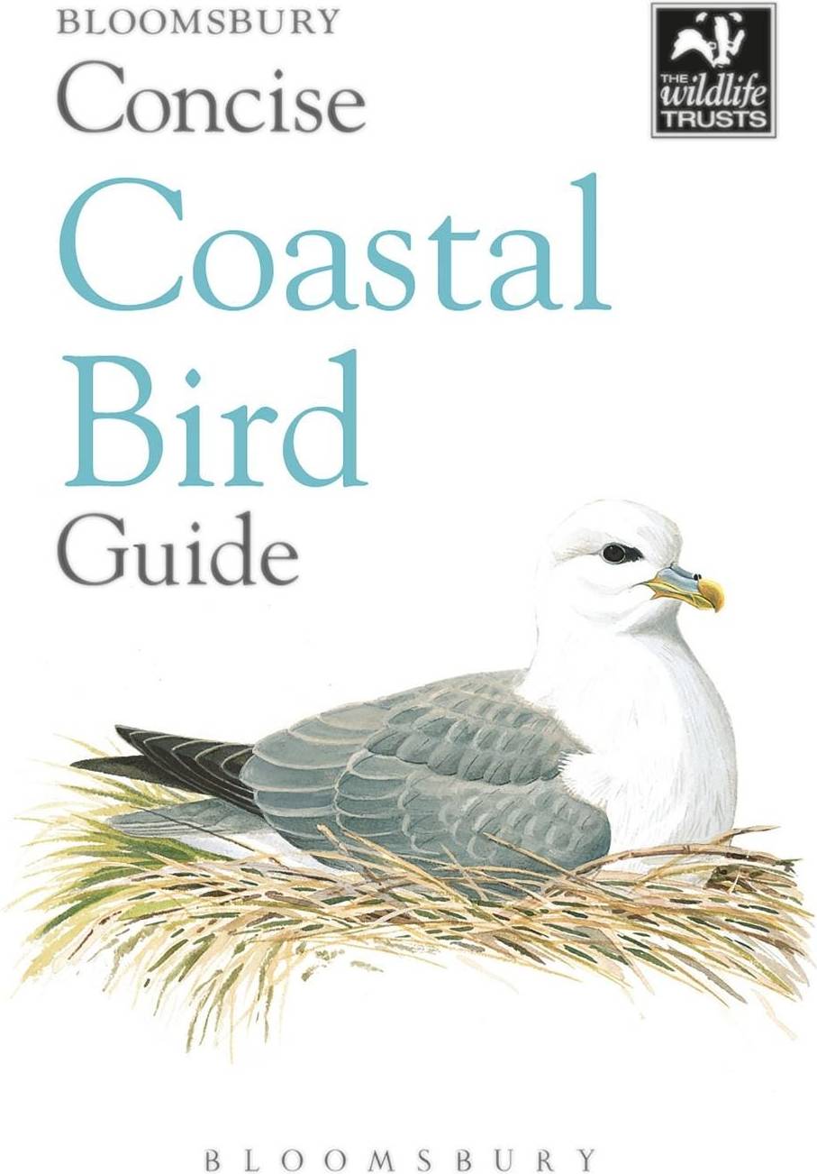 Concise Coastal Bird Guide: Concise Guides (Paperback)