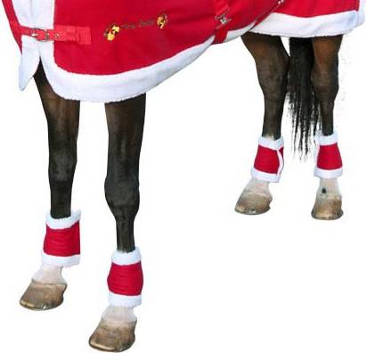 Polo Strips For Horses - Rouge