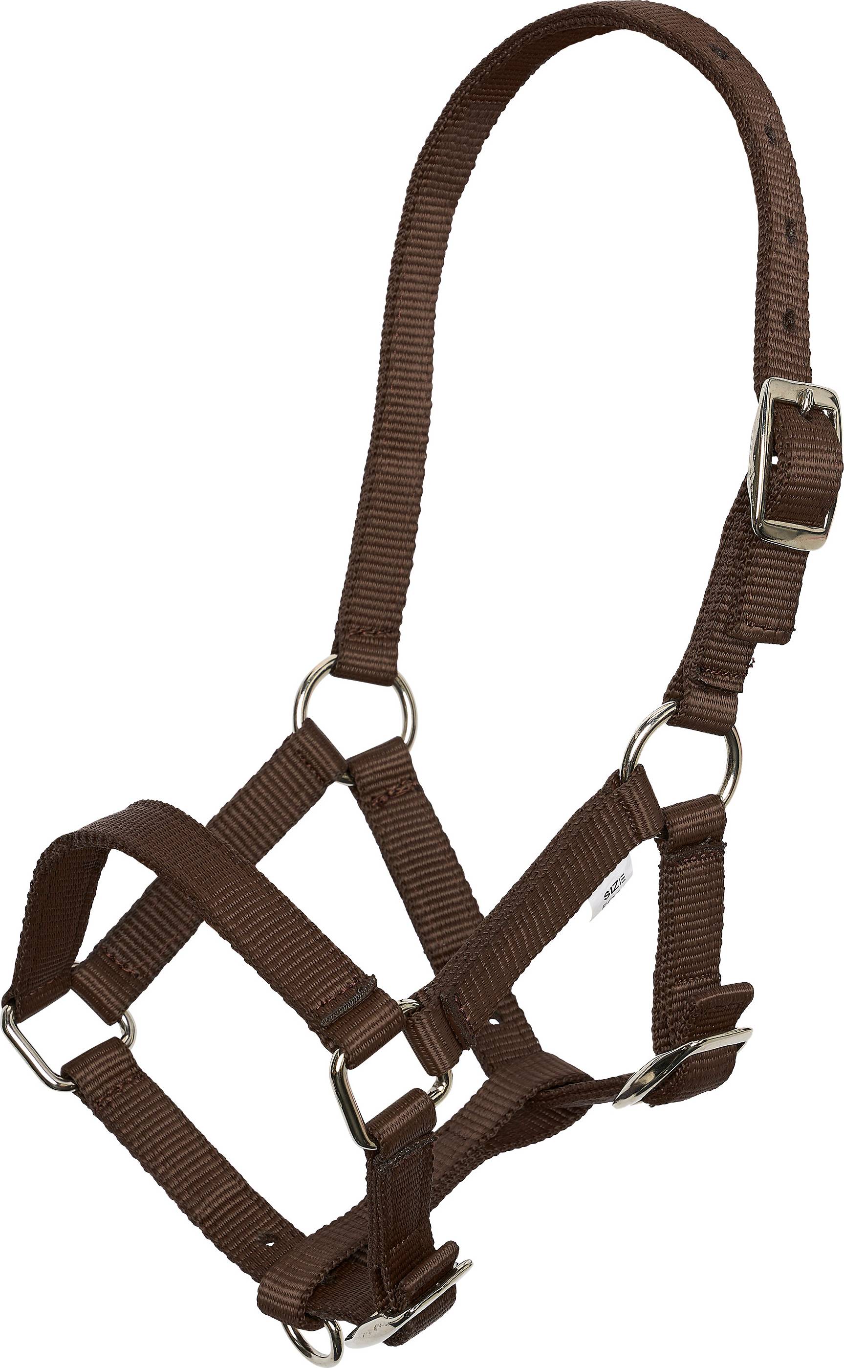Imperial Riding Halter Foal - Marron