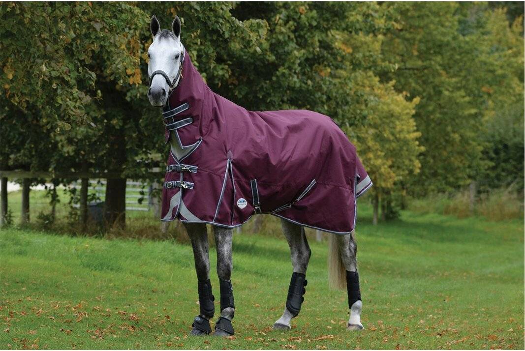 Weatherbeeta ComFiTec Plus Dynamic II Combo Neck Turnout Horse Rug
