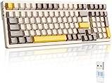 Apex pro tkl Attack Shark RK96 Wireless Mechanical Keyboard