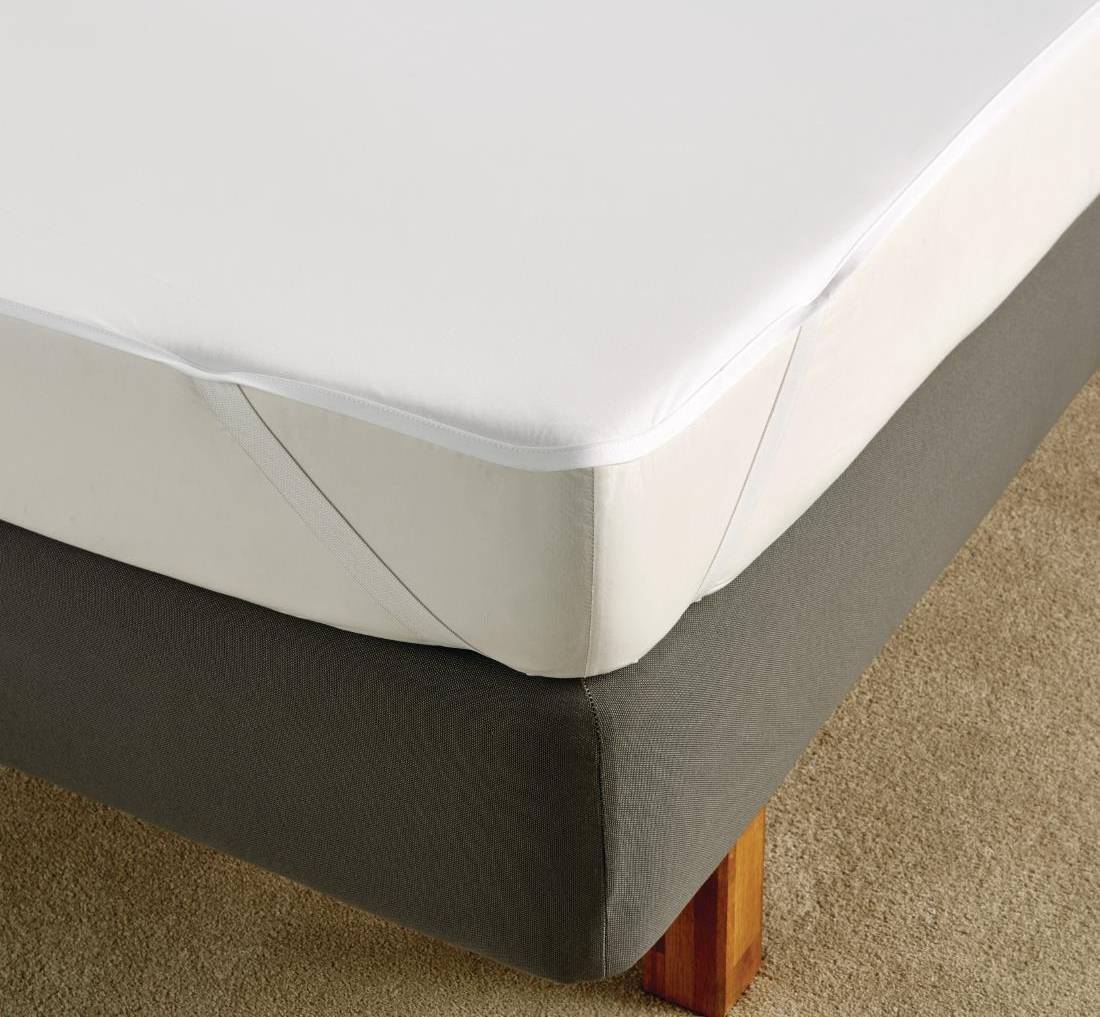 Essentials Basicprotector Elastic Bands Single Mattress Cover